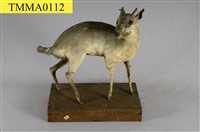 山羌藏品圖，第8張